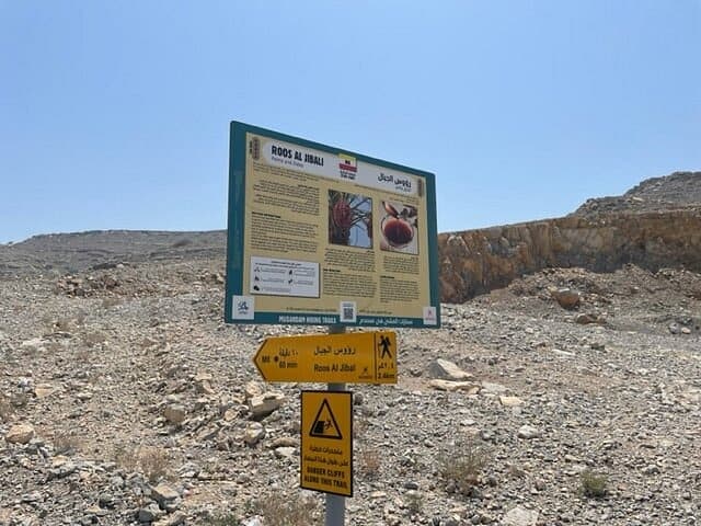 Half Day Trekking Tour to Wadi Ain