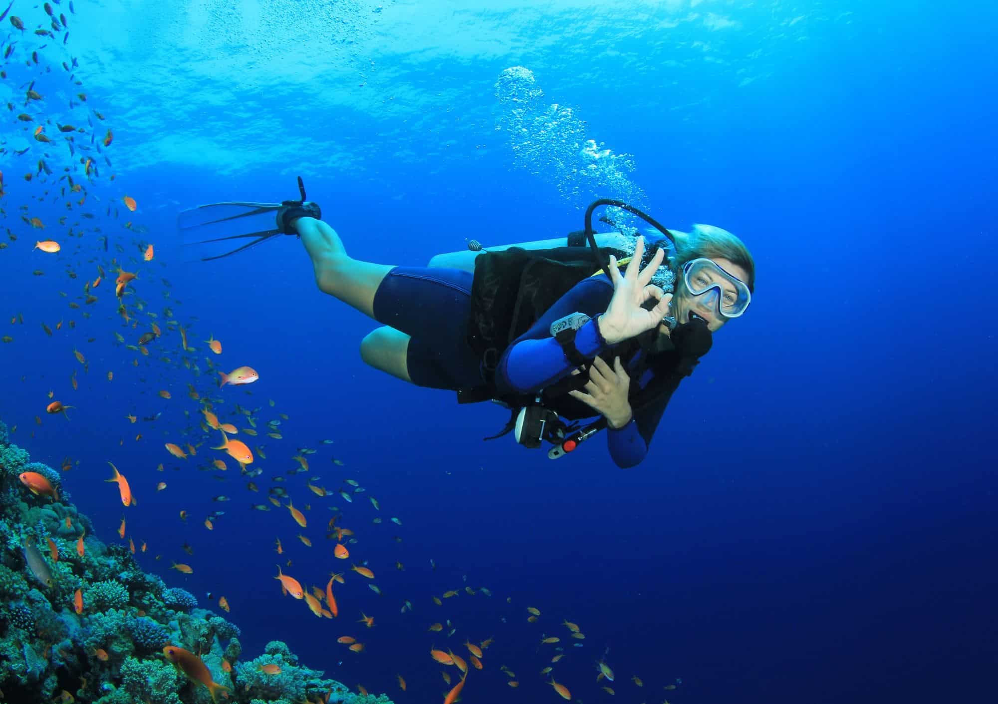 Scuba Diving (3 dives) – half day including equipment and lunch