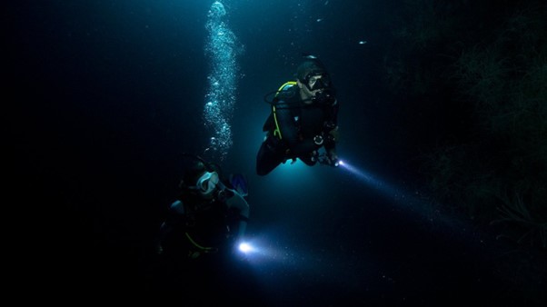 Night Scuba Diving (1 dive)