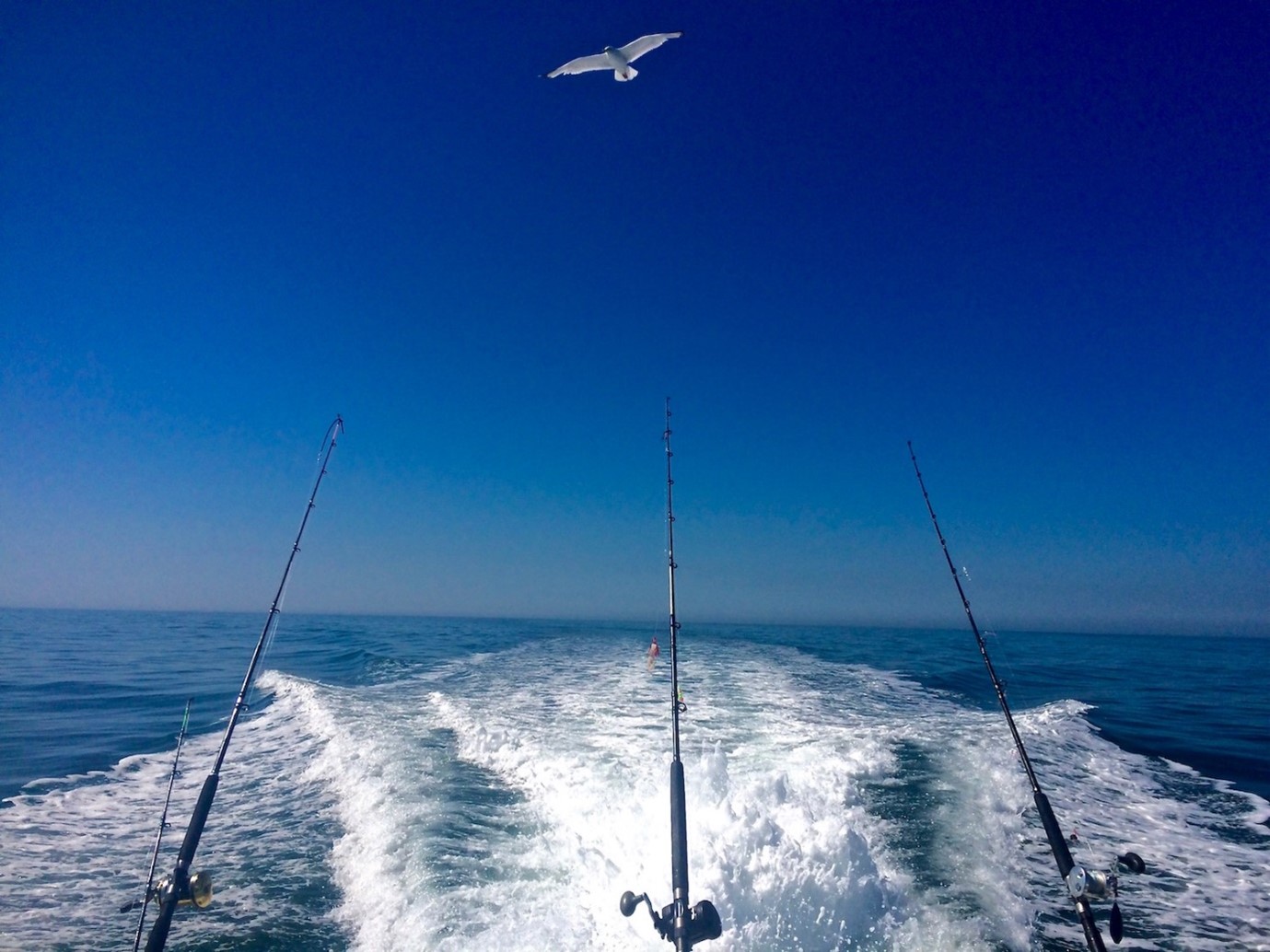 Private Fishing Trip – 3 hours